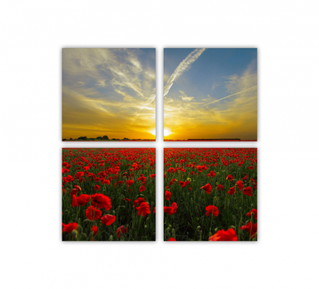 Tablou canvas 4 piese - Camp de mac [2]