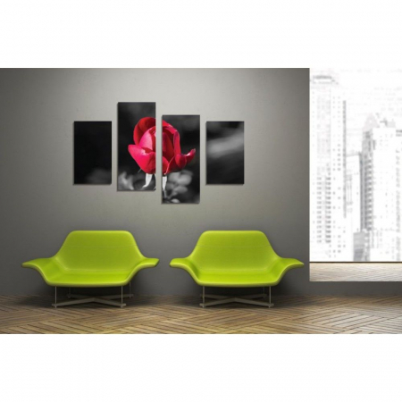 MultiCanvas - Tablou canvas 4 piese - Boboc