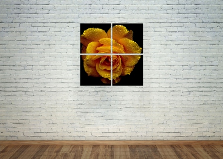 Tablou canvas 4 piese - Trandafir galben [1]