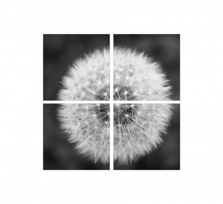 Tablou canvas 4 piese - Papadie [2]