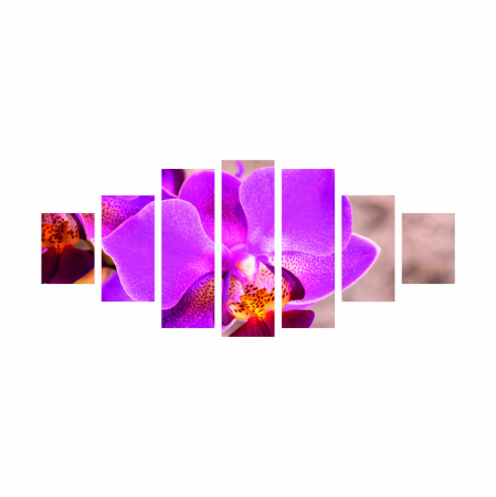 Tablou canvas 7 piese - Orhidee [2]
