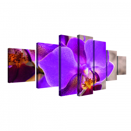 Tablou canvas 7 piese - Orhidee [1]