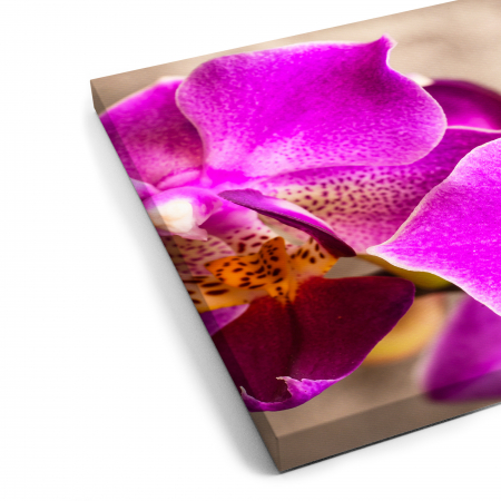 Tablou canvas 7 piese - Orhidee [4]
