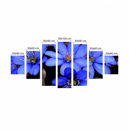 Tablou canvas 7 piese - Anemone americana [2]
