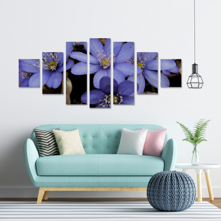 Tablouri Canvas - Tablou canvas 7 piese - Anemone americana