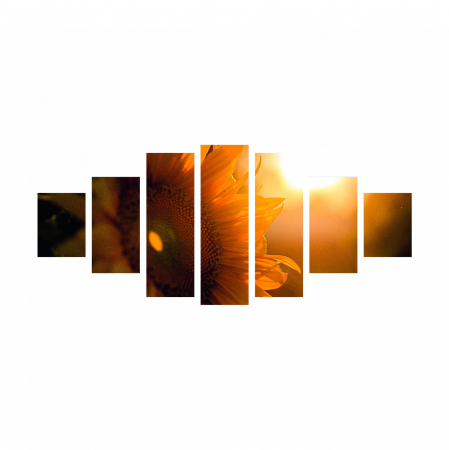 Tablou canvas 7 piese - Floarea soarelui [1]