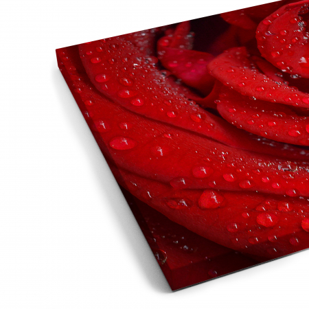 Tablou canvas 7 piese - Trandafir rosu [5]