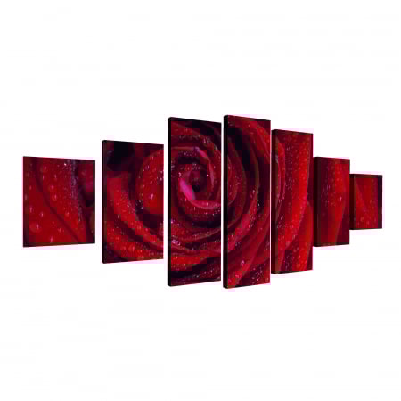 Tablou canvas 7 piese - Trandafir rosu [3]