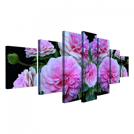 Tablou canvas 7 piese - Bujori roz [3]