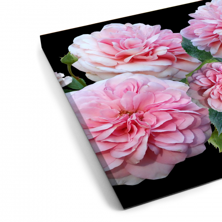 Tablou canvas 7 piese - Bujori roz [4]