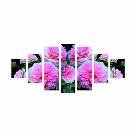 Tablou canvas 7 piese - Bujori roz [1]