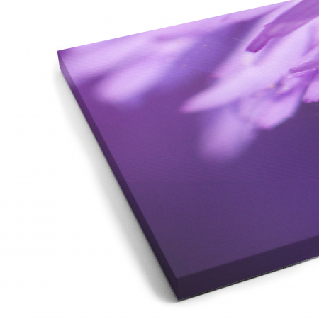 Tablou canvas 7 piese - Aster [4]
