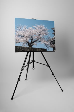 Tablou canvas : Cires japonez [2]