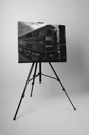Tablou canvas : Locomotiva in alb-negru [2]