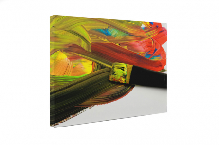 Tablou canvas : Pensula colorata [4]