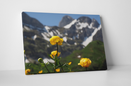 Tablouri Canvas - Tablou canvas : Inul galben