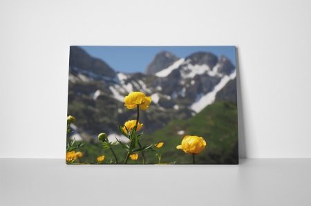 Tablou canvas : Inul galben [1]