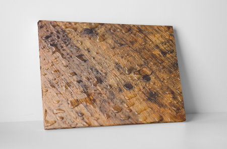 Tablouri Canvas - Tablou canvas : Podea umed