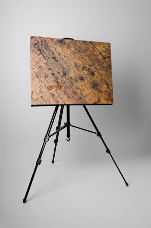 Tablou canvas : Podea umed [2]