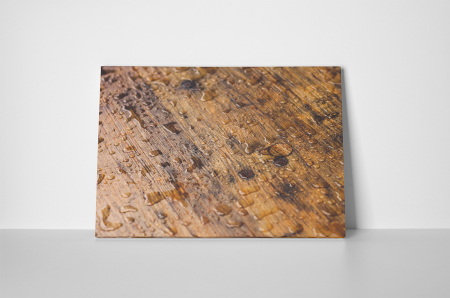 Tablou canvas : Podea umed [1]