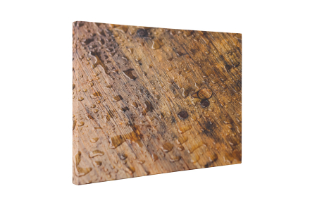 Tablou canvas : Podea umed [4]