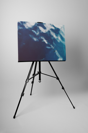 Tablou canvas : Pestisori [2]