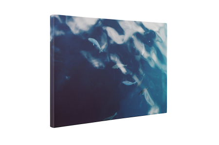 Tablou canvas : Pestisori [4]