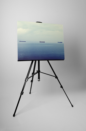 Tablou canvas : Vapoare pe mare [2]