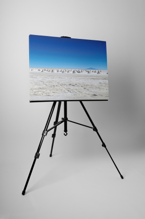 Tablou canvas : Pustietate [2]