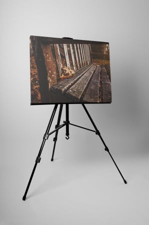 Tablou canvas : Toamna in parc [2]