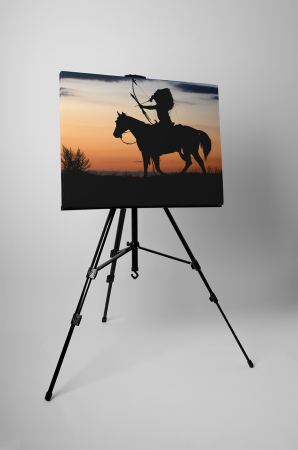 Tablou canvas : Indian [2]