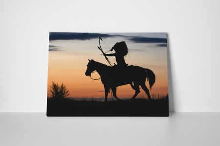 Tablou canvas : Indian [1]