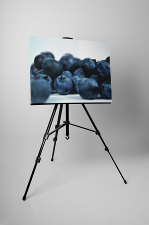 Tablou canvas : Boabe de afine [2]