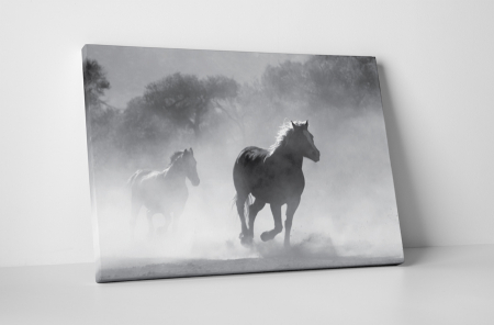 Animale - Tablou canvas : Armasari