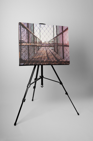 Tablou canvas : Ingradit [2]
