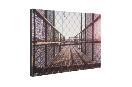 Tablou canvas : Ingradit [4]