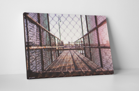 Tablouri Canvas - Tablou canvas : Ingradit