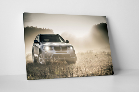 Tablouri Canvas - Tablou canvas : BMW pe teren
