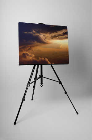 Tablou canvas : Printre nori [2]