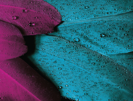 Tablou canvas : Pene colorate [3]