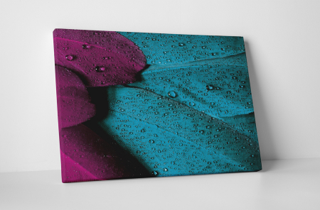 Altele - Tablou canvas : Pene colorate