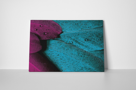 Tablou canvas : Pene colorate [1]
