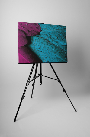 Tablou canvas : Pene colorate [2]