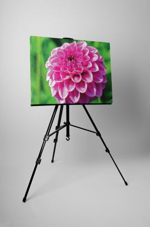 Tablou canvas : Dalia [2]