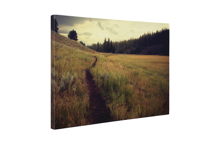 Tablou canvas : Carare pe camp [4]