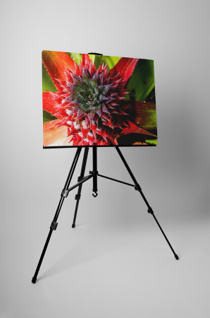 Tablou canvas : Frunze de ananas [2]
