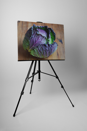 Tablou canvas : Varza [2]