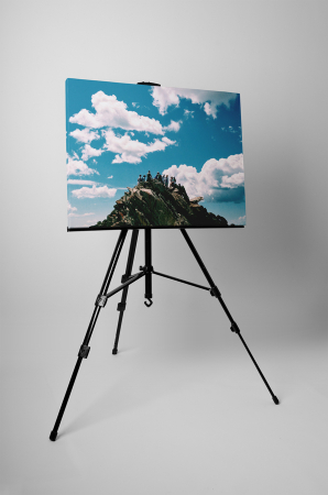 Tablou canvas : Pe varful muntelui [2]