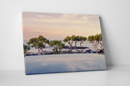 Peisaje - Tablou canvas : Copaci pe malul marii