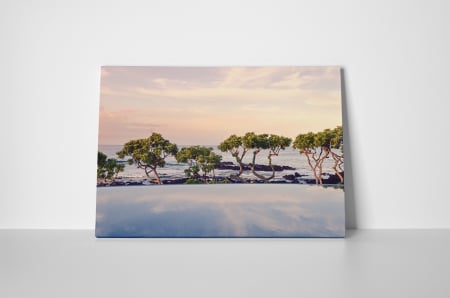 Tablou canvas : Copaci pe malul marii [1]